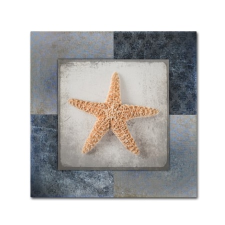 LightBoxJournal 'Blue Star Fish' Canvas Art,35x35